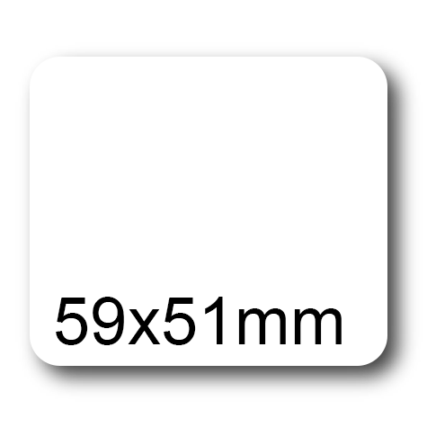 wereinaristea: bra3034