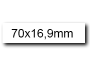 wereinaristea EtichetteAutoadesive. in carta. 70x16.9(16.9x70mm) Carta. 70x17(17x70mm) Carta bra3051.