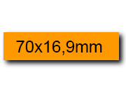 wereinaristea EtichetteAutoadesive. in carta. 70x16.9(16.9x70mm) Carta. 70x17(17x70mm) Carta. BRA3051ar.