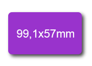 wereinaristea EtichetteAutoadesive, 99,1x57(57x99,1mm) Carta VIOLA, adesivo Permanente, angoli arrotondati, per ink-jet, laser e fotocopiatrici, su foglio A4 (210x297mm) bra3095VI