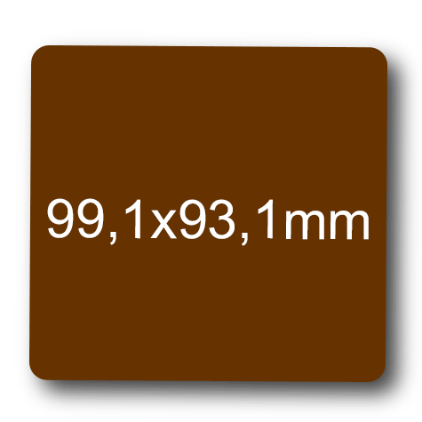 wereinaristea: bra3097MA