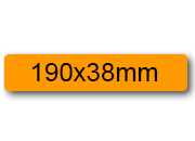 wereinaristea: bra3139AR