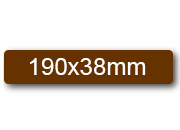 wereinaristea: bra3139MA