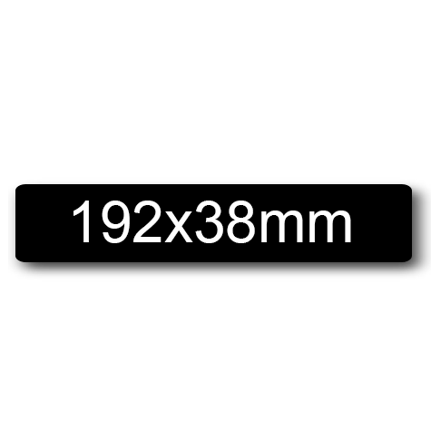 wereinaristea: bra3141NE