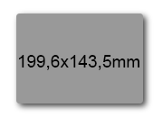 wereinaristea EtichetteAutoadesive, 199,6x143,5(143,5x199,6mm) Carta GRIGIO, adesivo Permanente, angoli arrotondati, per ink-jet, laser e fotocopiatrici, su foglio A4 (210x297mm).