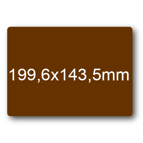 wereinaristea: bra3144MA