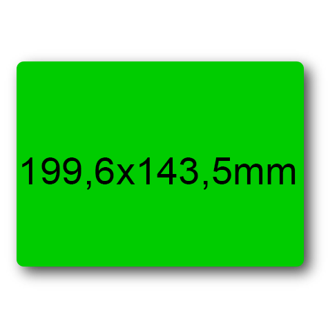 wereinaristea: bra3144AZ