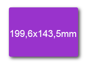 wereinaristea EtichetteAutoadesive, 199,6x143,5(143,5x199,6mm) Carta VERDE, adesivo Permanente, angoli arrotondati, per ink-jet, laser e fotocopiatrici, su foglio A4 (210x297mm) bra3144VE