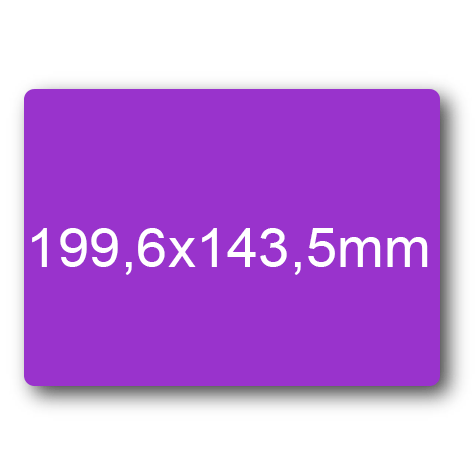 wereinaristea: bra3144VE