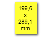 wereinaristea EtichetteAutoadesive, 199,6x289,1(289,1x199,6mm) Carta GIALLO, adesivo Permanente, angoli arrotondati, per ink-jet, laser e fotocopiatrici, su foglio A4 (210x297mm) bra3145GI