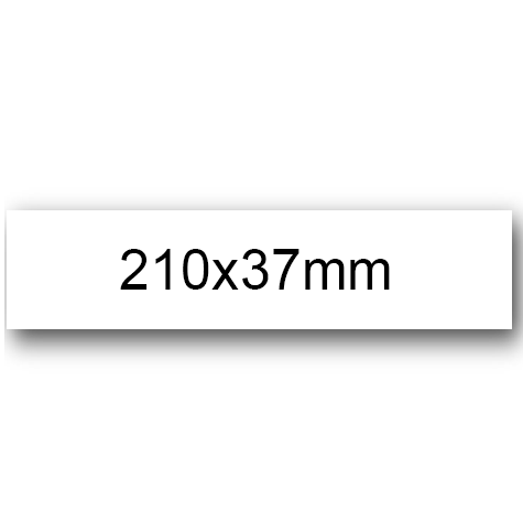 wereinaristea: bra3151