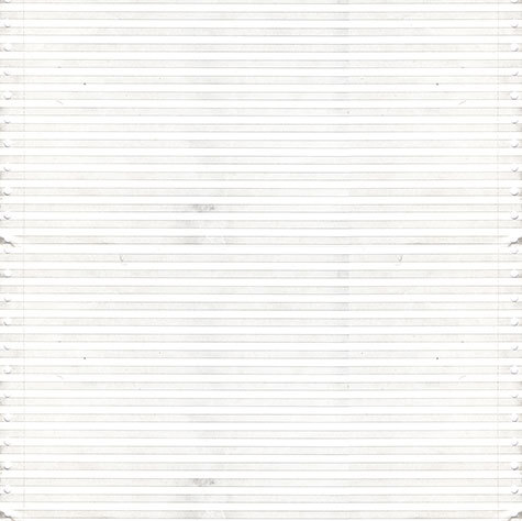 gbc modulo continuo, 25cmX11pollici con righe per lettura facilitata, carta da 60gr in pura cellulosa, formato 28x25cm, bande staccabili microperforate.