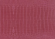 carta Carta Regalo PelleCoccodrilloViola, A4, 65gr BRA3444.