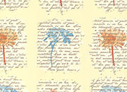 carta Carta Regalo AvorioFioriScritte, A4, 65gr BRA3453.