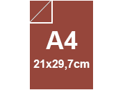 carta CartoncinoPLASTIFICATO RismaLuceFavini, a4, 230gr, Tabacco07 Formato A4 (21x29,7cm), 230grammi x mq, (200cartoncino+30plastificazione).