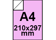 carta: bra436