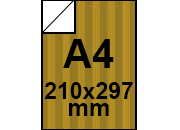 carta: bra453