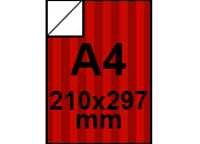 carta: bra454