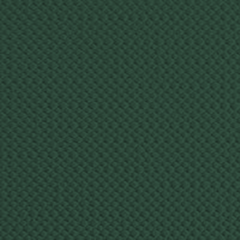 carta Cartoncino TelaTriplexFedrigoni VERDE 270gr, A4 Formato A4 (21x29,7cm), 270grammi x mq.