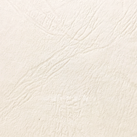 carta CartoncinoPlastificato GoffratoVenato, 320gr, A4, BIANCO Formato A4 (21x29,7cm), 320 grammi x mq (290cartoncino+30plastificazione).