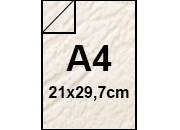 carta: bra476