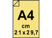 carta: bra477