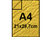 carta: bra478