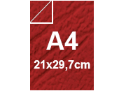 carta: bra479