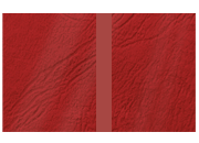 legatoria Copertina flessibile per brossura, plastificata con riserva ROSSO, formato 297x485mm, 270grammi x mq, Similpelle Venata Fedrigoni.