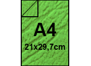carta: bra480