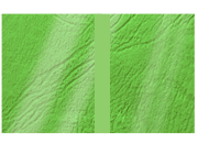 legatoria Copertina flessibile per brossura, plastificata con riserva VERDE, formato 297x485mm, 270grammi x mq, Similpelle Venata Fedrigoni.