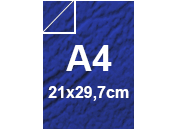 carta: bra481