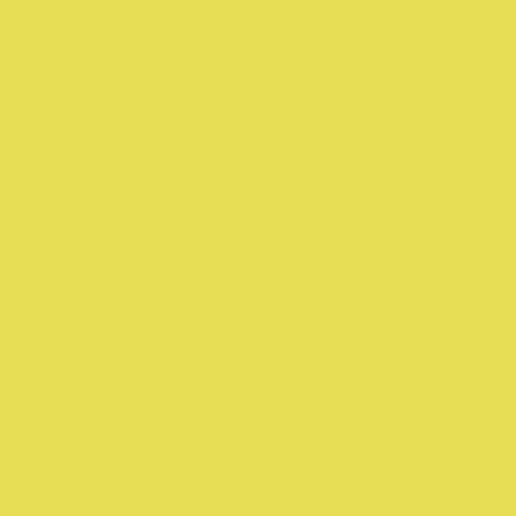 carta: bra587T1