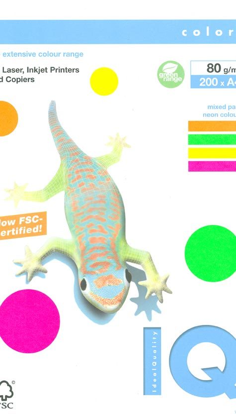 carta Carta Neon Colors, carta fluorescente 125 fogli per colore, formato A5 (14,8x21cm), 80grammi x mq.