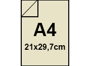 carta: bra65