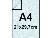 carta: bra717