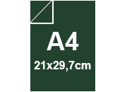 carta: bra867