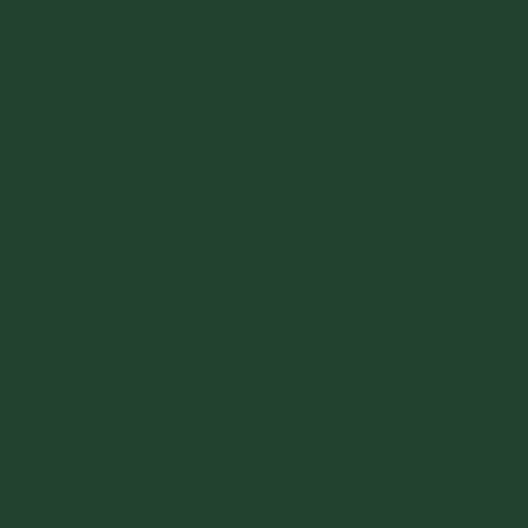 carta Cartoncino Burano INGLESE, t3, 250gr Verde Inglese 71, formato t3 (35x50cm), 250grammi x mq.