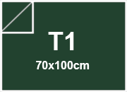 carta: bra867t1