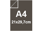 carta: bra875