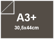 carta: bra875a3+