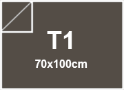 carta: bra872t1