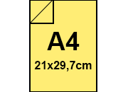 carta: bra877