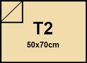 carta Cartoncino PrismaMonomarcatoFavini, Camoscio t2, 220gr Camoscio 04, formato t2 (50x70cm), 220grammi x mq bra881t2