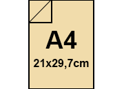 carta: bra881