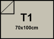 carta Cartoncino PrismaMonomarcatoFavini, Grigio t1, 220gr Grigio 06, formato t1 (70x100cm), 220grammi x mq bra883t1