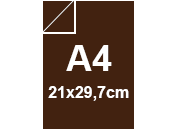 carta: bra1323