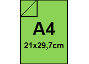 carta: bra1326