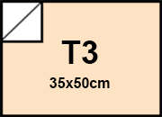 carta: bra919T3