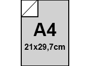 carta: bra924